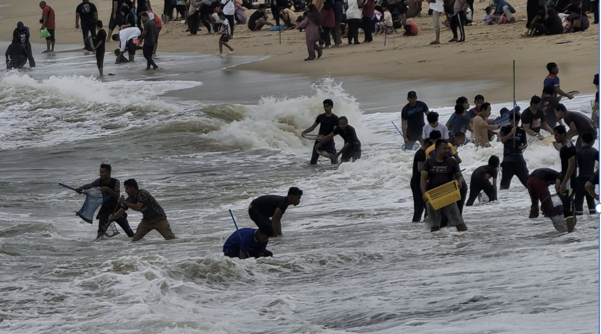 Henti Aktiviti Kutip Kerang Di Pantai Sura